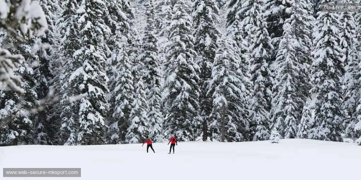 🎁 运动周边，品质之选，活力加持！
